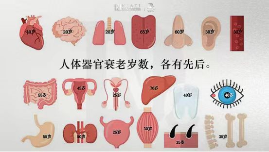 什么是男性生殖抗衰?