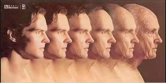 什么是男性生殖抗衰?