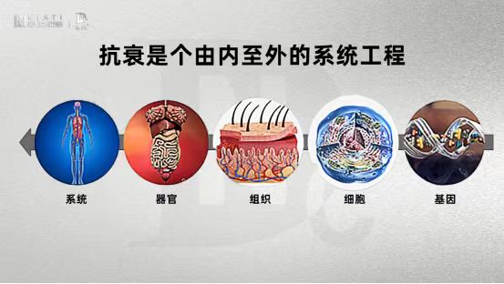 什么是男性生殖抗衰?