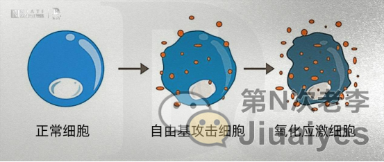 什么是男性生殖抗衰?